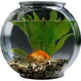 Aquariums WhatsApp Sticker #13