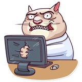 Big Boss Cat WhatsApp Sticker #19