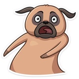 Boone WhatsApp Sticker #14