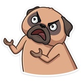 Boone WhatsApp Sticker #15