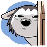 Chuck the Husky WhatsApp Sticker #19