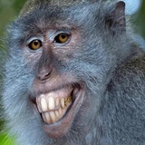 Broken Animals WhatsApp Sticker #2