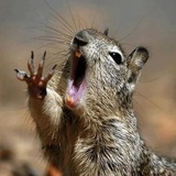 Broken Animals WhatsApp Sticker #3