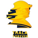 CSK Army WhatsApp Sticker #28