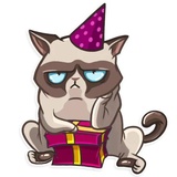 Cat it! WhatsApp Sticker #14