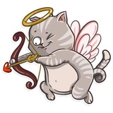 Cat it! WhatsApp Sticker #24