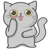Cat Fullmoon WhatsApp Sticker #13
