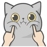 Cat Fullmoon WhatsApp Sticker #2