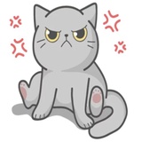 Cat Fullmoon WhatsApp Sticker #5