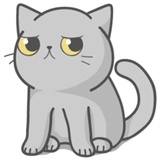 Cat Fullmoon WhatsApp Sticker #9
