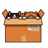 Fun Cat WhatsApp Sticker #15