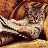 Cats WhatsApp Sticker #30