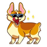 Corgeous WhatsApp Sticker #20