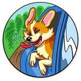 Corgeous WhatsApp Sticker #22