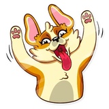 Corgeous WhatsApp Sticker #5