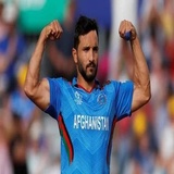 Cricket WhatsApp Sticker #12