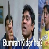 Cricket WhatsApp Sticker #28