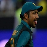 Cricket WhatsApp Sticker #4
