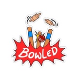 Cricket Fever WhatsApp Sticker #18
