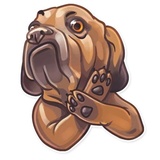 Dog it WhatsApp Sticker #10