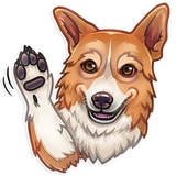 Dog it WhatsApp Sticker #5