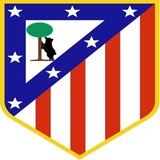 Football WhatsApp Sticker #10