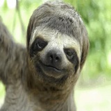 Funny Animals WhatsApp Sticker #11