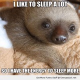 Funny Animals WhatsApp Sticker #18