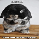 Funny Animals WhatsApp Sticker #26