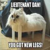 Funny Animals WhatsApp Sticker #27