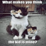 Funny Animals WhatsApp Sticker #29
