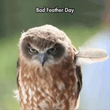 Funny Animals WhatsApp Sticker #3
