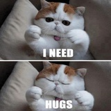 Funny Animals WhatsApp Sticker #30