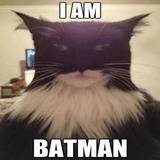 Funny Animals WhatsApp Sticker #7