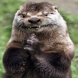 Funny Animals WhatsApp Sticker #8