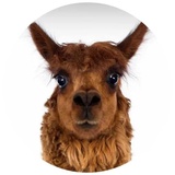 Happy Alpaca WhatsApp Sticker #29