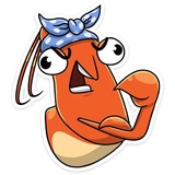 Shrimp WhatsApp Sticker #16