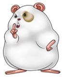 Naughty Hamster WhatsApp Sticker #12