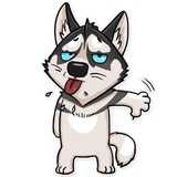 Husko WhatsApp Sticker #10