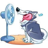 Hussie Goodboy WhatsApp Sticker #22