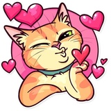 Meme Cats WhatsApp Sticker #2