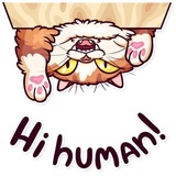 Meme Cats WhatsApp Sticker #5