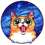 Meme Cats WhatsApp Sticker #8
