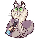 Meme Cats WhatsApp Sticker #9