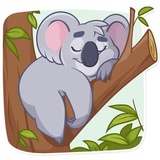 Koala Chuck WhatsApp Sticker #14
