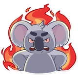 Koala Chuck WhatsApp Sticker #22