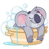 Koala Chuck WhatsApp Sticker #25