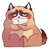 Kooky Cat WhatsApp Sticker #10