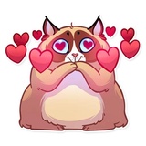 Kooky Cat WhatsApp Sticker #13