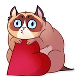 Kooky Cat WhatsApp Sticker #2